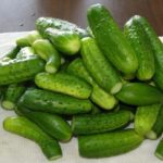  Cetrioli per la salatura