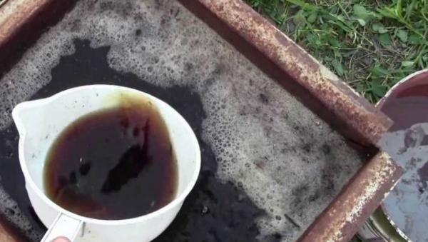  Infuso di sterco di pollo
