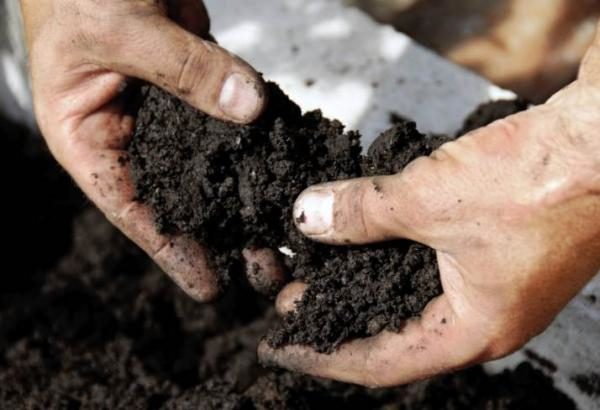  Preparazione del terreno