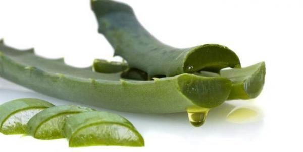  Succo di aloe