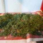  Uscat mararul într-un mod natural
