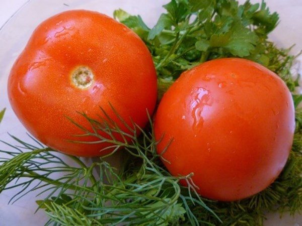  Varietate foarte devreme de tomate de mister