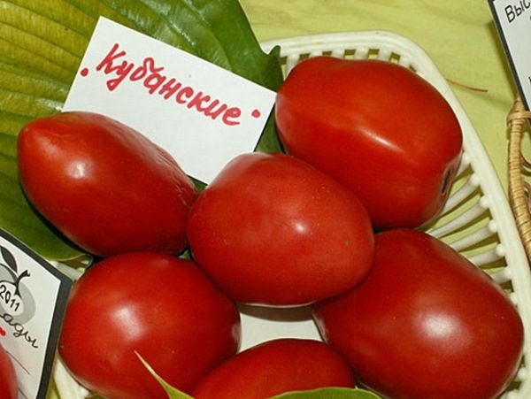  Kuban de grau de tomate
