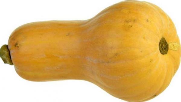  Zucca di Butternat 1,5-3kg