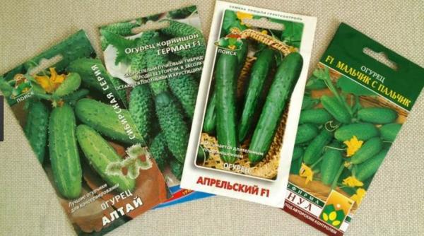  abundance of varieties