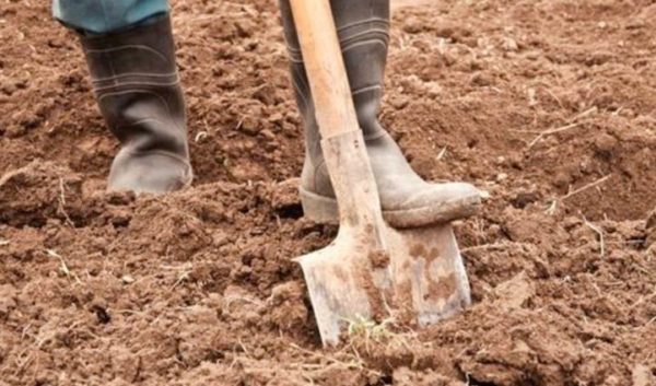  Preparazione del terreno