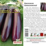 Varietà di melanzane per serre