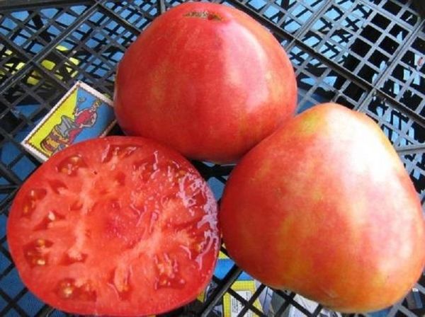  Greutatea fructelor unui grad fluctuează de la 250 la 900 de grame