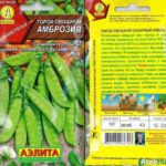  Variedade Ambrosia
