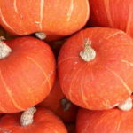  Varietà di piccola zucca