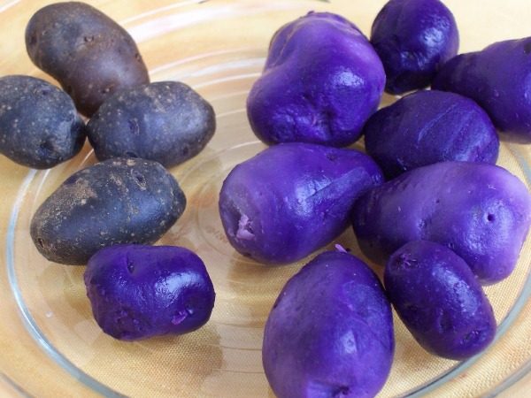  In addition to antioxidants in purple tubers with an unusual color there is a large amount of vitamin C