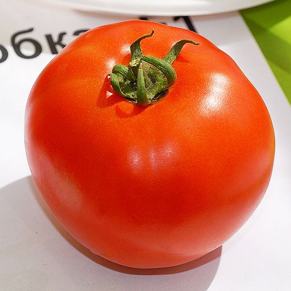  La masa de frutos de un grado es de unos 180-240 gramos.