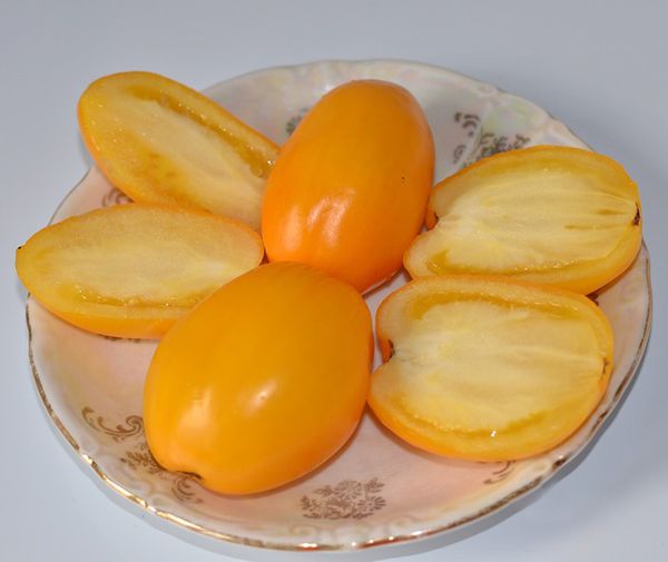  Buyan amarelo