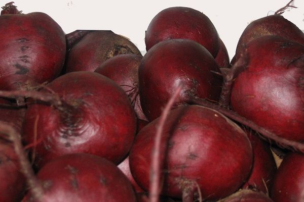  Le migliori varietà di barbabietole rosso scuro