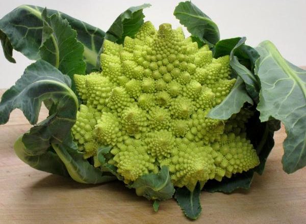  Varza Romanesco