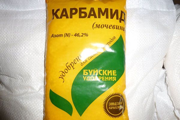 La verdura deve essere concimata con urea e cloruro di potassio