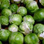  Teste di lucentezza caratteristiche - un segnale per la raccolta