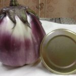  Varietà di melanzane per serre