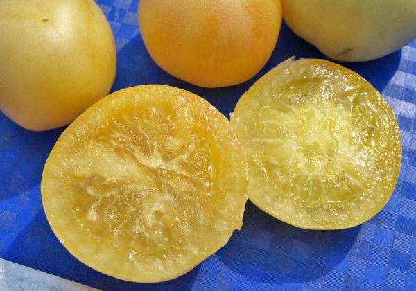  La pulpa de tomate melocotón es tierna, jugosa, casi ácida.