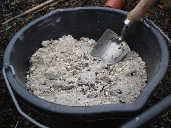  De trei ori pe sezon se recomandă aplicarea îngrășămintelor: humus, cenușă, superfosfat