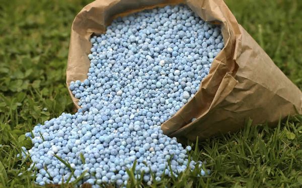  Una miscela di fertilizzanti minerali e sostanze organiche può aumentare i raccolti