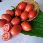  As variedades mais populares de tomate