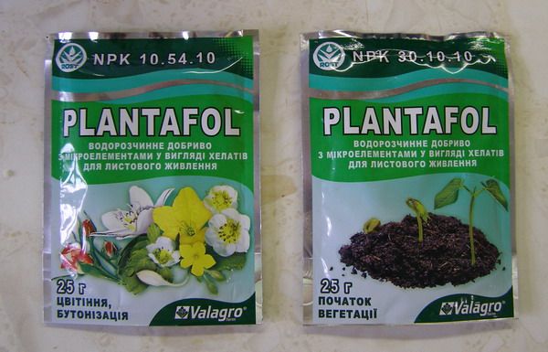  Como alimento você pode usar o fertilizante composto