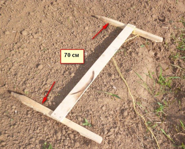  Scriber for planting potatoes