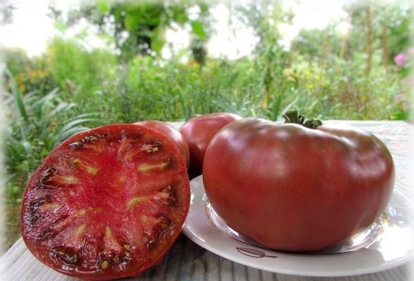  Frutas não podem ser armazenadas por um longo tempo e geralmente são consumidas frescas