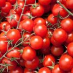  Descrição e características da variedade vermelha de cereja