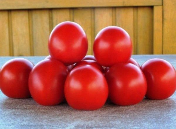  Nascer do sol de tomate