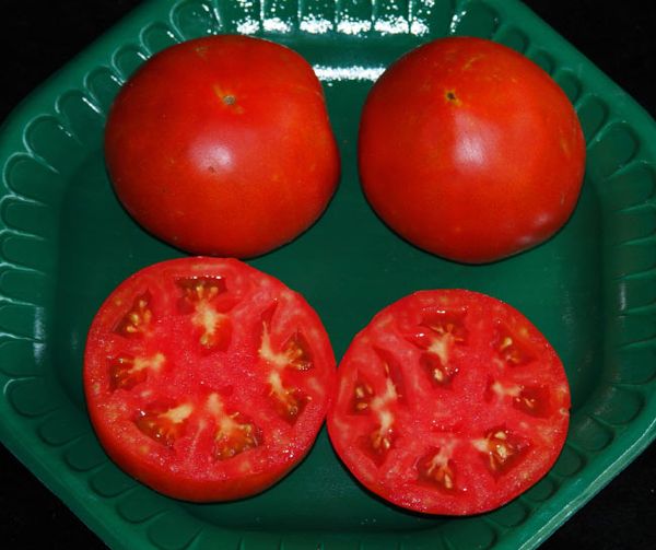  Os frutos do Ultra-amadurecimento amadurecem antes do espalhamento phytophthora