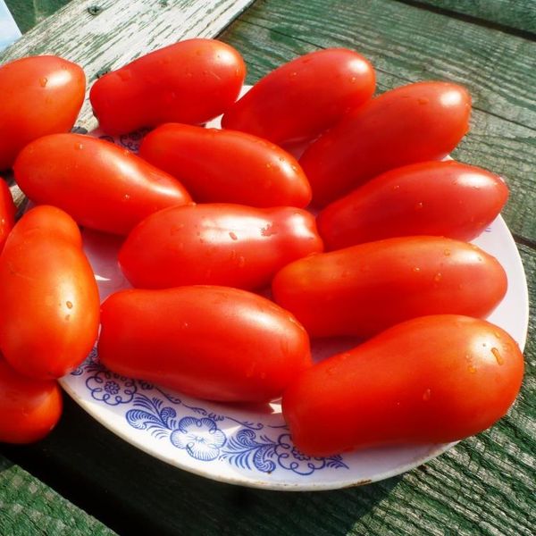  Existem várias variedades de dedos femininos, que diferem uns dos outros em forma