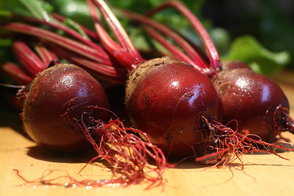  Barbabietola da tavola