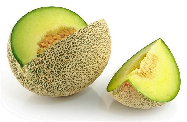 Melone cantalupo