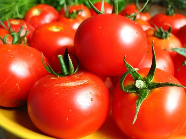  Tomate coletivo fazenda frutuosa