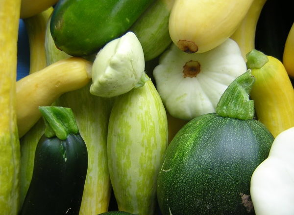  zucchine