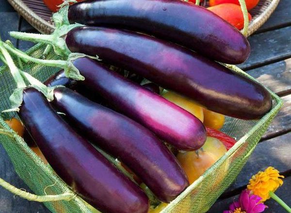  Come rimuovere l'amarezza delle melanzane