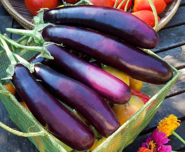  Come rimuovere l'amarezza delle melanzane