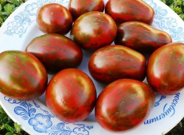  Moro de tomate negro