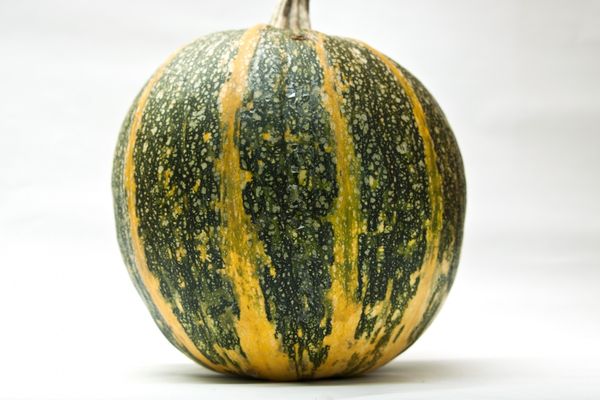  Il peso della frutta media Golosemyanka - circa 7 kg