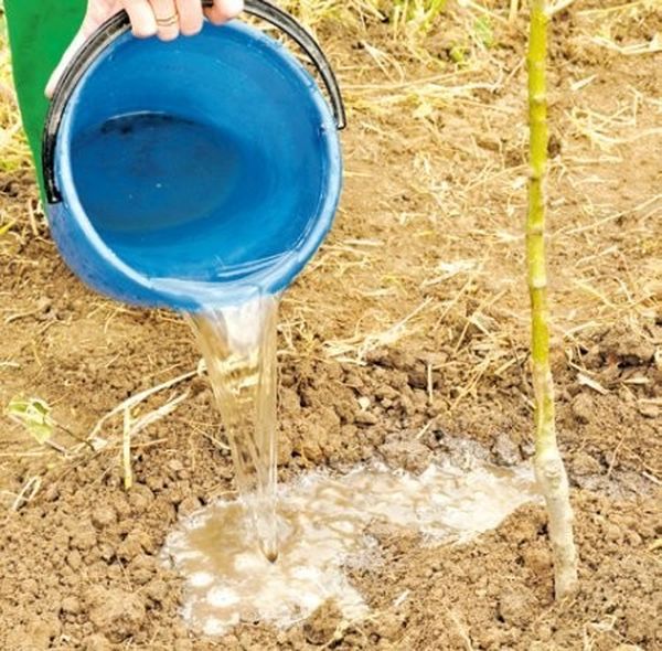 Prima di preparare i letti, assicurarsi di controllare la permeabilità all'umidità.