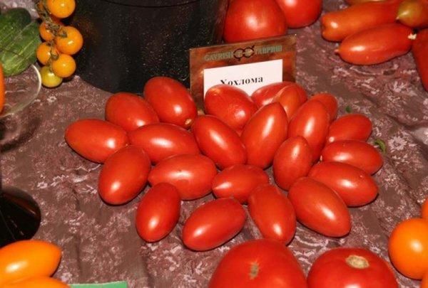  Variedades de Tomate Khokhloma