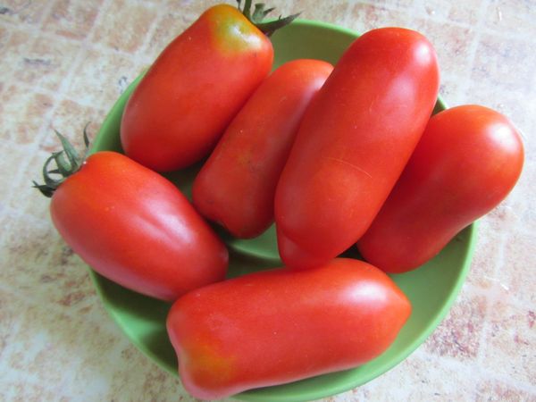  Para o armazenamento é necessário reunir pequenas frutas densas.