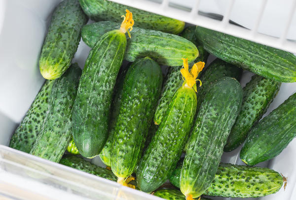  Cold storage conditions