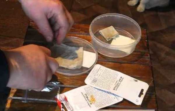  Trattamento dei semi di cavolo prima di piantare