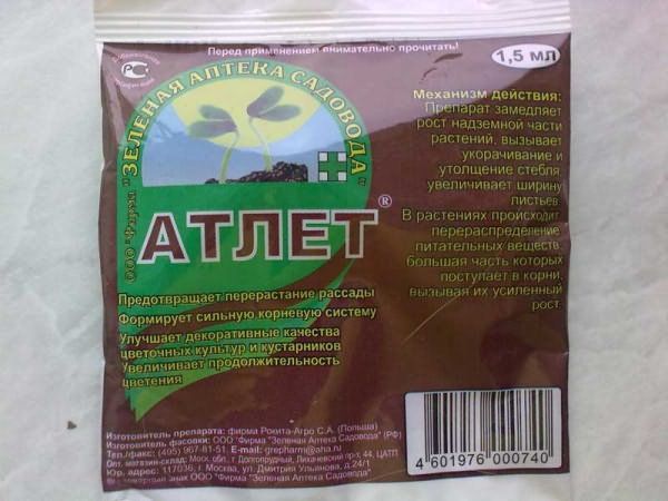 Para evitar o arrancamento de mudas, você deve usar o medicamento Athlete