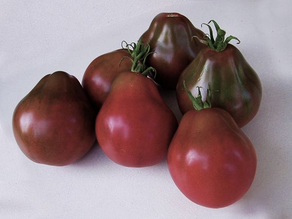  O peso médio dos frutos é de 120 gramas