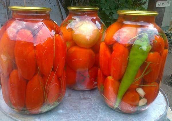  Tomate Caspar é ótimo para conservas