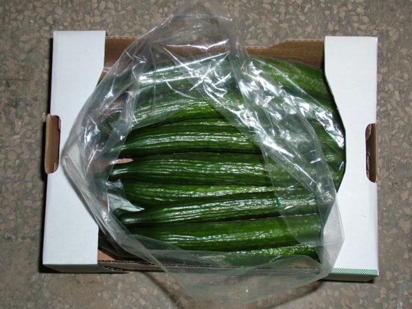  How to store cucumber at home indoors